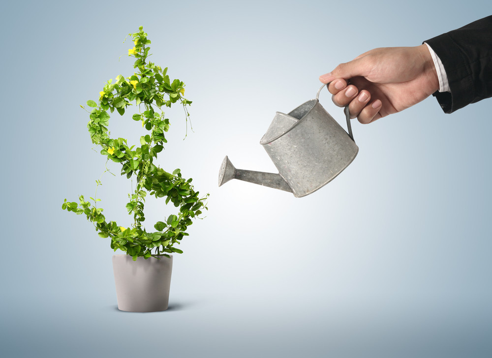 Content grow your business tlc