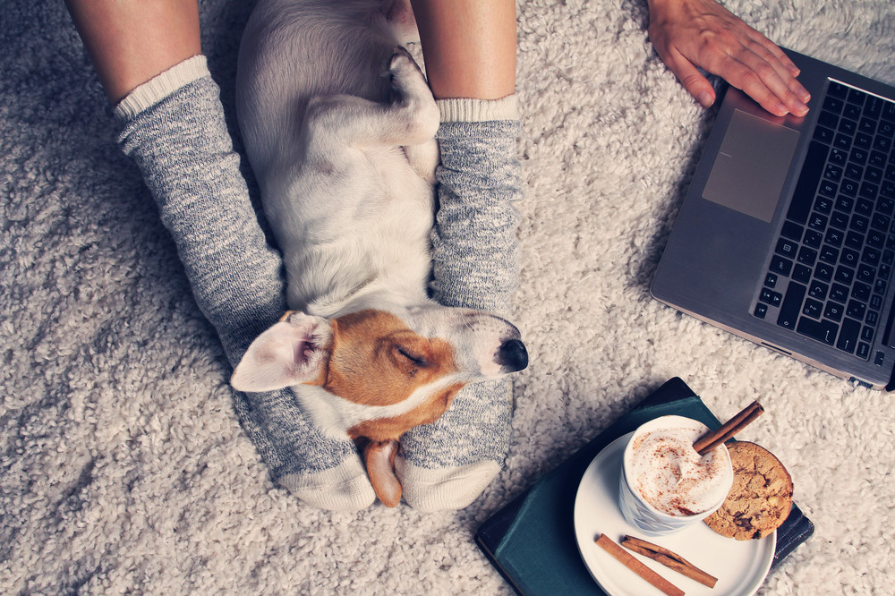 Content top tips for new freelance translators